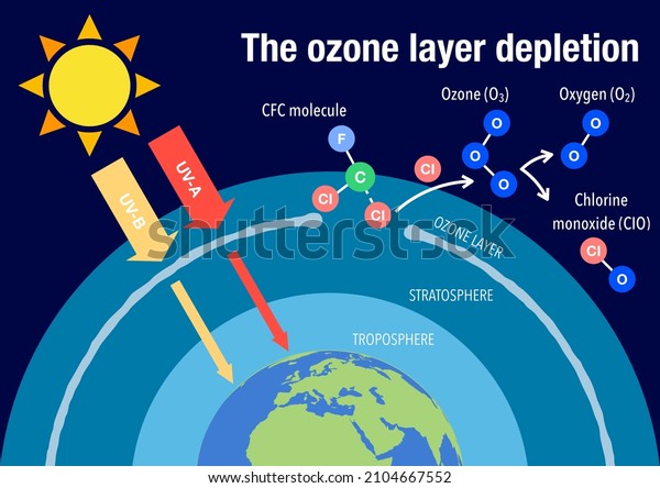 The ozone layer depletion\
explained