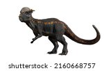 Pachycephalosaurus, dinosaur from the Late Cretaceous period, isolated on white background (3d paleontology illustration) 