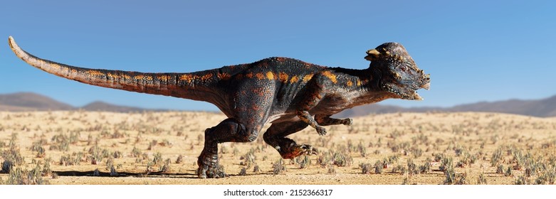 Pachycephalosaurus, Dinosaur Running In A Desert Landscape (3d Paleoart Rendering Banner)  