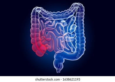 Pain In Human Intestines, Bowel Concept. Ghost Light Effect, X-ray Hologram. 3D Rendering On Dark Blue Background