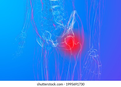 Pain Tailbone Prostate Xray Human Body Stock Illustration 1995691730 ...