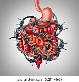 Painful digestion IBS or irritable bowel syndrome and intestine pain or Intestinal discomfort inflammation problem or constipation as barbed wire with 3D illustration elements.