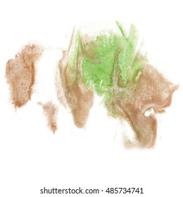 Paint Splash Green Brown Color Ink Watercolor Isolated Stroke Splatter Watercolour Aquarel Brush Art