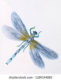 Hand Drawn Watercolor Illustration Blue Dragonfly Stock Illustration ...