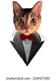 Painted Cat In Bow Tie And Tux Messy Portrait In White Background, Faded Paint Art, 80s Feel, For Graphic Design Of T-shirts