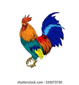 Painted Cockerel On White Background Stock Illustration 533073730 ...