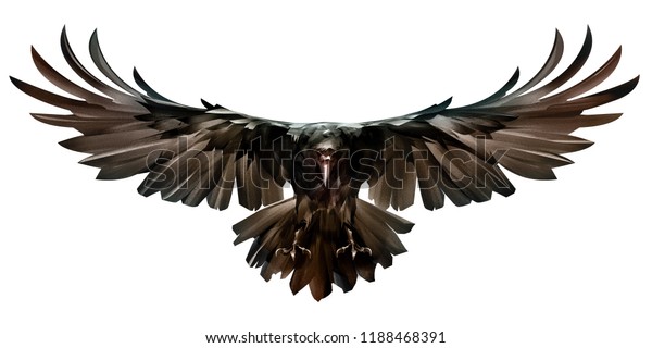 Painted Colored Bird Flight Raven Front Stock Illustration