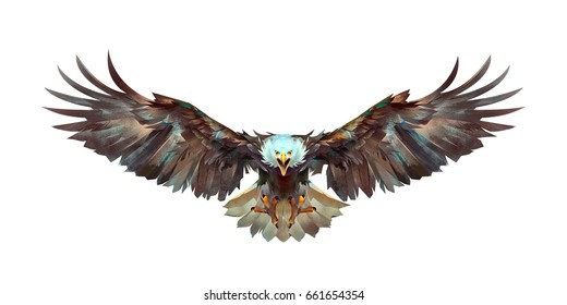 painted a flying eagle on a white background front