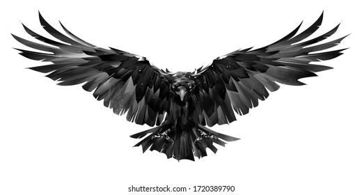 Painted Raven Bird In Flight On A White Background