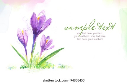 Painted Watercolor Card With Crocus Flowers And Text