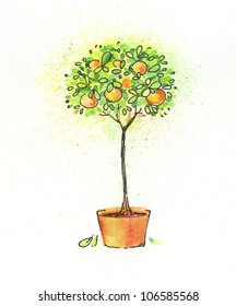 Painted Watercolor Citrus Tree In Pot