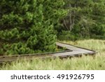 Painterly abstract of sharp turn in wet boardwalk between beach grasses and pine woods after rain in Big Bay State Park, Madeline Island, Wisconsin, for themes of recreation, exploration, conservation