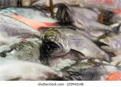 Painting of Close up of King salmon on market stand