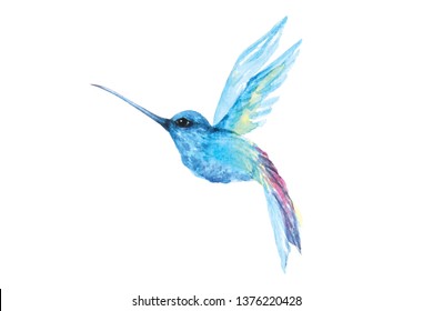 Download Painting Hummingbirds Watercolor On White Backgroundcute Stock Illustration 1376220428