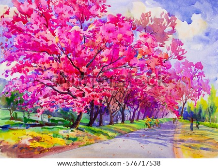 Painting watercolor landscape original pink red color of Wild himalayan cherry,and family,woman, boys  cycling exercise morning. Hand painted, blue sky cloud background,beauty nature winter season.