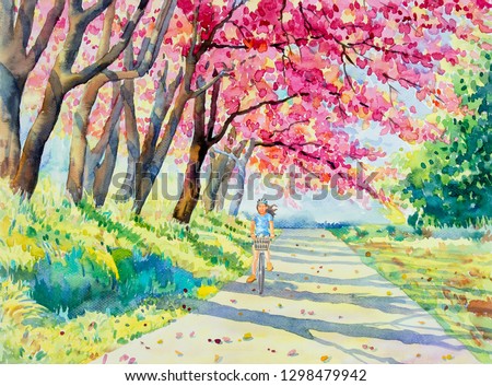 Painting watercolor landscape pink red color of Wild himalayan cherry roadside in the morning with young women cycling, nature background. Hand painted beauty winter season landmark in Thailand.
