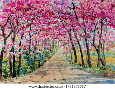 Painting watercolor landscape pink red color Tunnel of Wild himalayan cherry roadside in the morning with vintage emotion sky background. Hand painted beauty nature spring season landmark in Thailand.