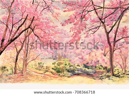 Painting watercolor landscape pink red flower of Wild himalayan cherry tree roadside in the morning with vintage emotion sky cloud background, Hand painted, beauty nature winter season in Thailand.