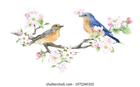 631 Watercolor bluebird Images, Stock Photos & Vectors | Shutterstock