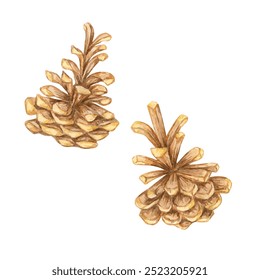 A pair of pine cones in brown tones, Watercolor clipart great for woodland-themed designs, holiday cards, and nature-inspired home decor. Botanical illustration for seasonal Christmas projects - Powered by Shutterstock