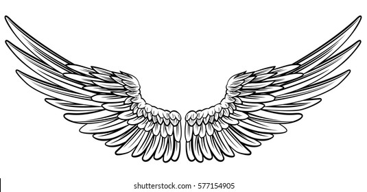 Pair of spread out  eagle bird or angel wings 