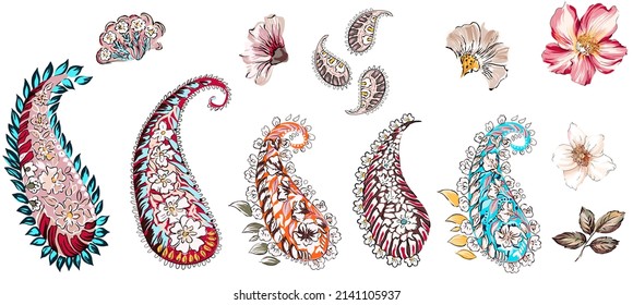 Paisley set isolated illustration colorful vintage folkloric elements. Suitable for texture repeated. Ethnic flowers beautiful, cashmere objects. White background.