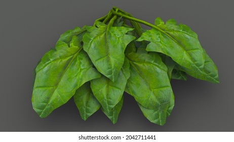 Palak Leaves Cooking 3d Illustration Stock Illustration 2042711441