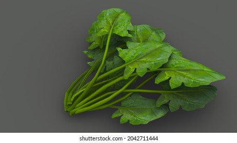 Palak Leaves Cooking 3d Illustration Stock Illustration 2042711444