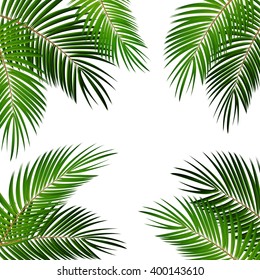 背景にヤシの葉のイラスト のイラスト素材 Shutterstock 背景にヤシの葉のイラスト のイラスト素材 Shutterstock
