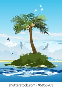 palm tree with coconuts on the island in the middle of the ocean