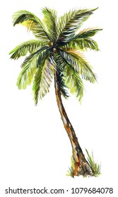 Coconut Tree Paint Images Stock Photos Vectors Shutterstock