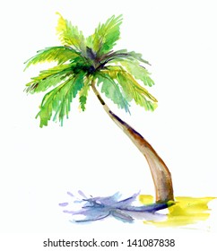 Palm Tree Isolated On White Background. Watercolor