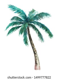 Palm Tree Isolated On White Background. Watercolor Hand Drawn Illustration 