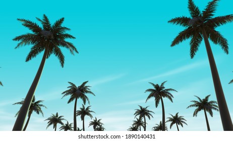Palm tree silhouettes along the road. 3D Render concept. View from the bottom. Tropical coast alley or boulevard. Clear blue sky with clouds on the background. Sunny weather. Summer mood illustration