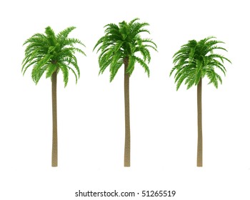 フェニックス 木 のイラスト素材 画像 ベクター画像 Shutterstock