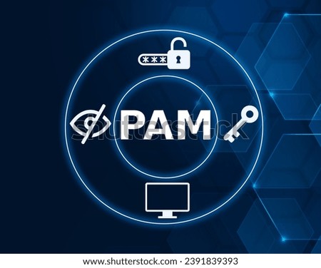 PAM acronym, privileged access management sytem concept, software is a cybersecurity solution designed to secure and manage privileged accounts within an organization. 商業照片 © 