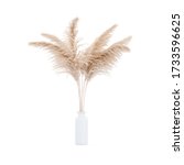 Pampas grass white vase on white background isolated. 3d rendering modern minimalistic pampa concept