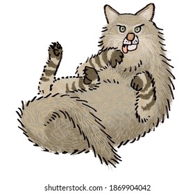 Pampas Wildcat Cat Breed Illustration