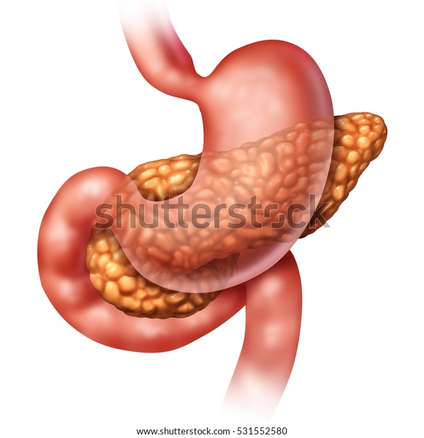 膵臓の医学コンセプトとヒトの臓器で 3dイラストエレメントを持つ内分泌系の健康シンボルとして胃と腸を持つ膵臓消化器の体部を指す のイラスト素材