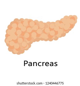 Pancreas Cartoon - Healthy organ concept medical illustration. - Getect2