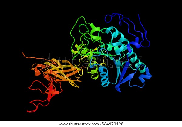 膵リパーゼは 膵トリアシルグリセロールリパーゼとも呼ばれ 膵臓から分泌される酵素である 主な消化酵素の一つ 3d構造 のイラスト素材