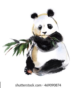 Panda with bamboo sprig isolated on a white background, watercolor