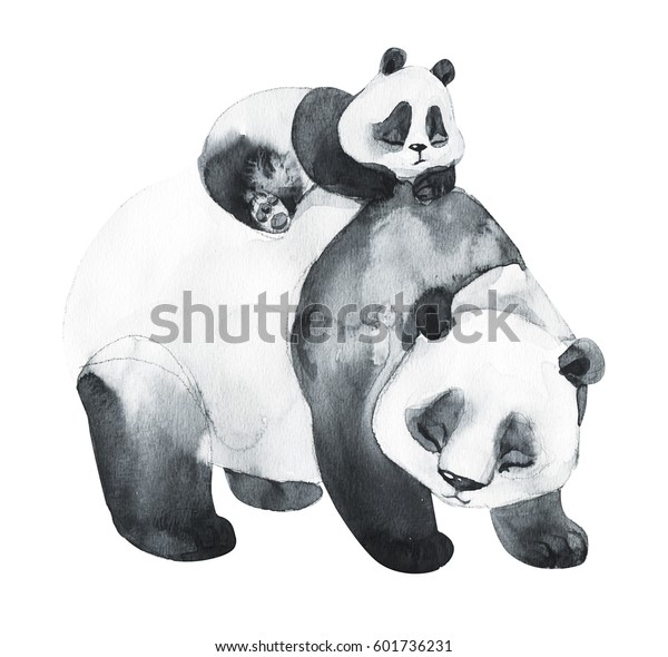 パンダの熊と水彩画 中国の動物 白い背景に手描きのリアルなイラスト 母の日のカード手作り のイラスト素材