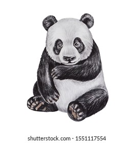 Realistic Panda High Res Stock Images Shutterstock