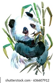 Panda hugging the stems of bamboo, eating leaves. Hand-drawn watercolor design. Sketch style. Wild life painting. Wild animal of China. Environmental awareness design for posters and postcards.