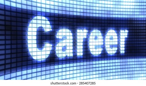 Panel Career