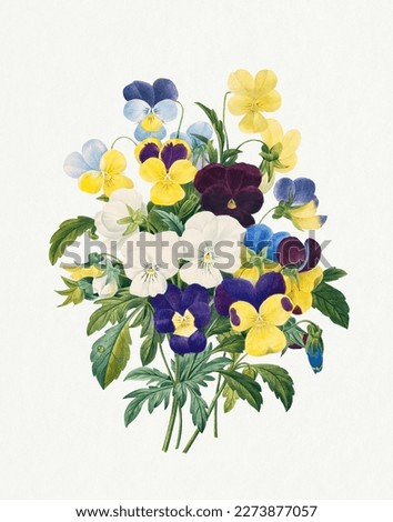 A Pansy bouquet. Beautiful flower illustration. Vintage flower painting. Vintage flower illustration for wall art.