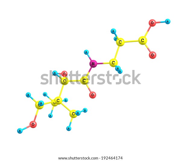 Pantothenic Acid Vitamin B5 Pantothenate Watersoluble Stock
