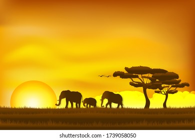 Paper art and digital craft style of world elephant Day , elephant in the grass sunrise. - Powered by Shutterstock