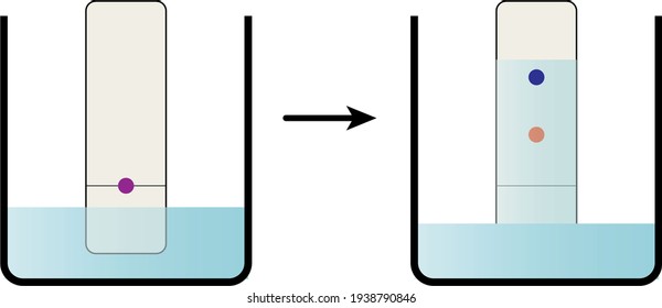 Paper Chromatography Analytical Method Illustration